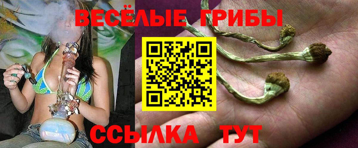 Галлюциногенные грибы мицелий Еманжелинск