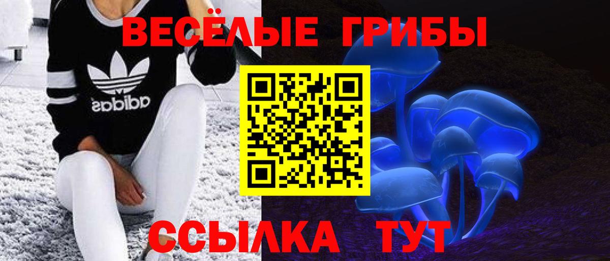 Псилоцибиновые грибы Psilocybe  Вход с VPN  магазин продажи наркотиков  Еманжелинск 
